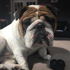 Meet your Posher, Janice maie